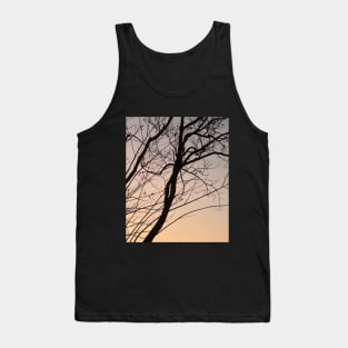 bare branch of tree after sunset Tank Top